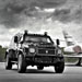 Knight XV